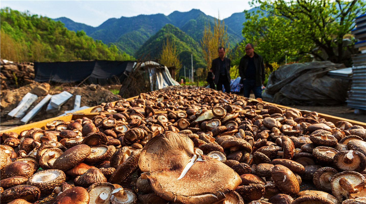 《結(jié)對幫扶，碩果累累》高波