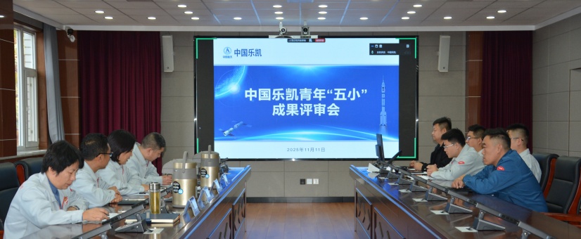 激揚青春智造力！中國樂凱團委召開青年&ldquo;五小&rdquo;成果評審會